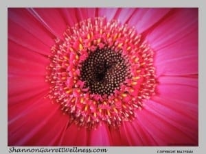 The Ultimate Preventative Medicine