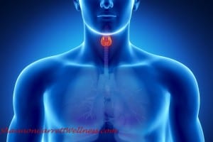 Thyroid Function Self-Assessment