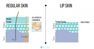 Cracked Lips & Vitamin Deficiency