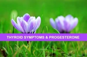 Thyroid Symptoms Low Progesterone