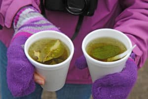 Two white styrofoam cups of coca tea for alleviation of altitude sickness in the highlands of Ecuador