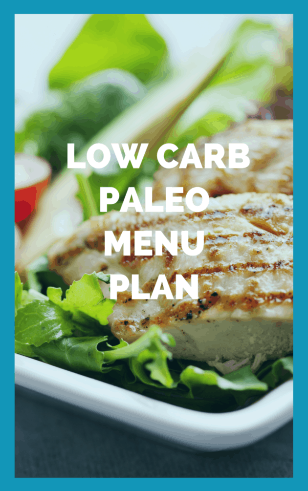Low Carb Paleo Menu Plan